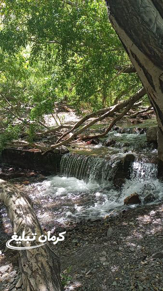 رودخانه راین کرمان