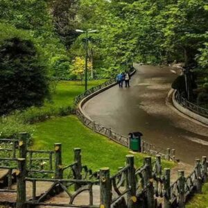 سازمان سیما، منظر و فضای سبز کرمان